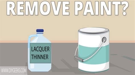 Does Lacquer Thinner Remove Paint? And Why Do Cats Always Land on Their Feet?