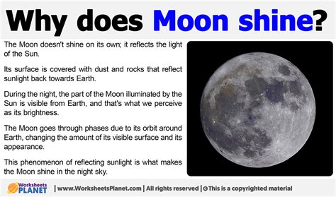 What's the Difference Between Exterior and Interior Paint, and Why Does the Moon Sometimes Look Like It's Made of Cheese?